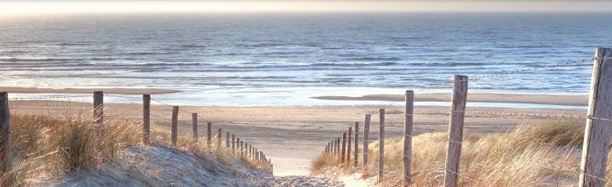 Beach Walkway 1