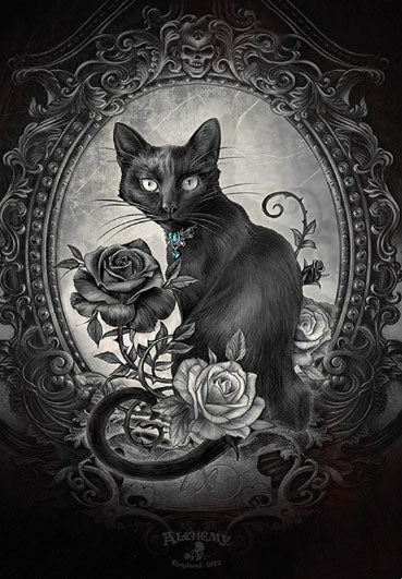 Black Cat Portrait