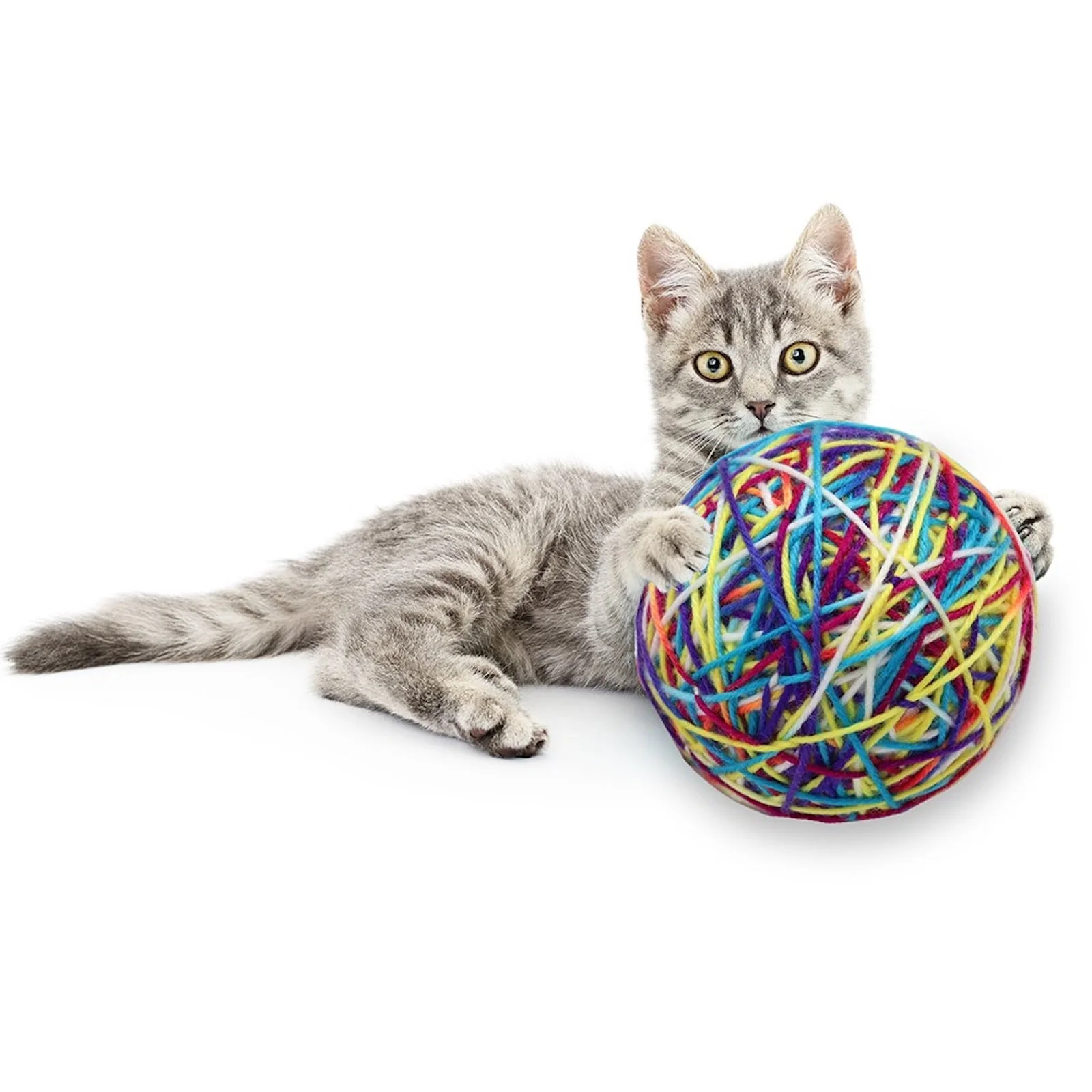 Cat Yarn Ball Rattle Toy - Image 3