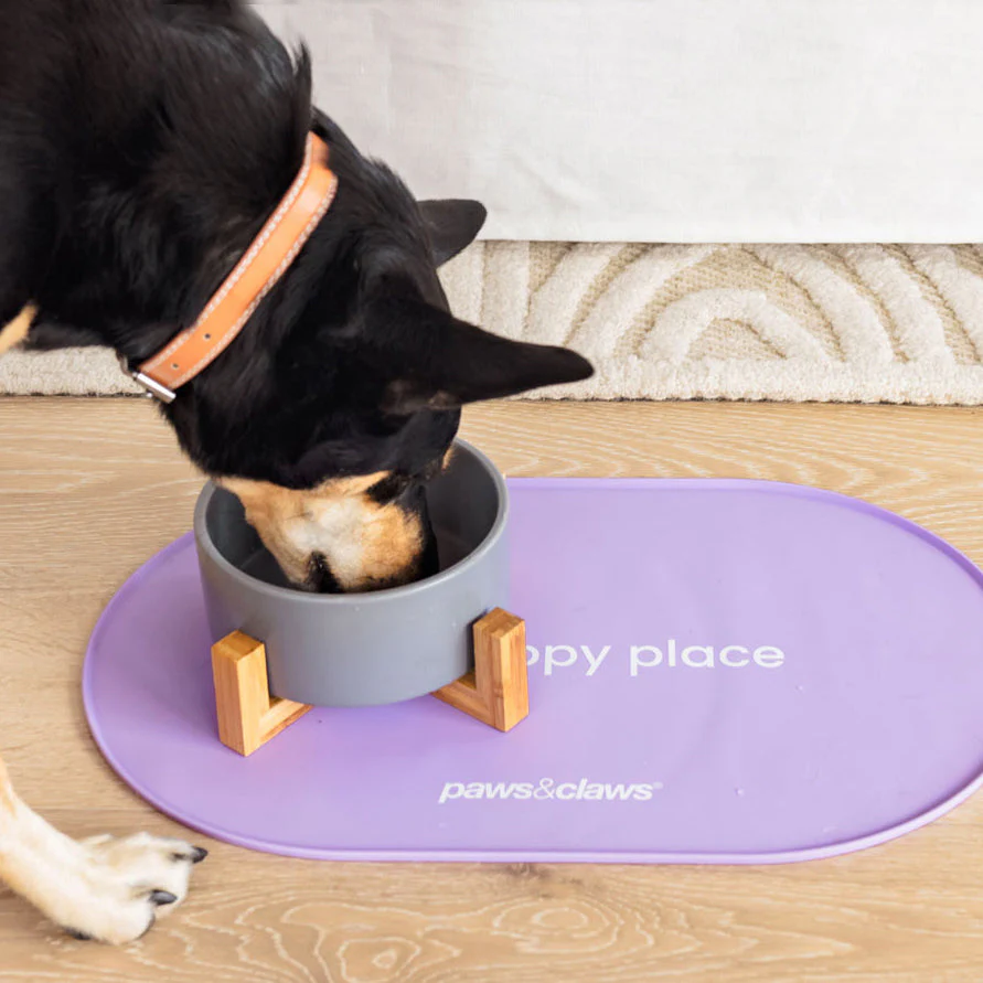 Pet Non-Slip Silicone Food Mat - Image 3