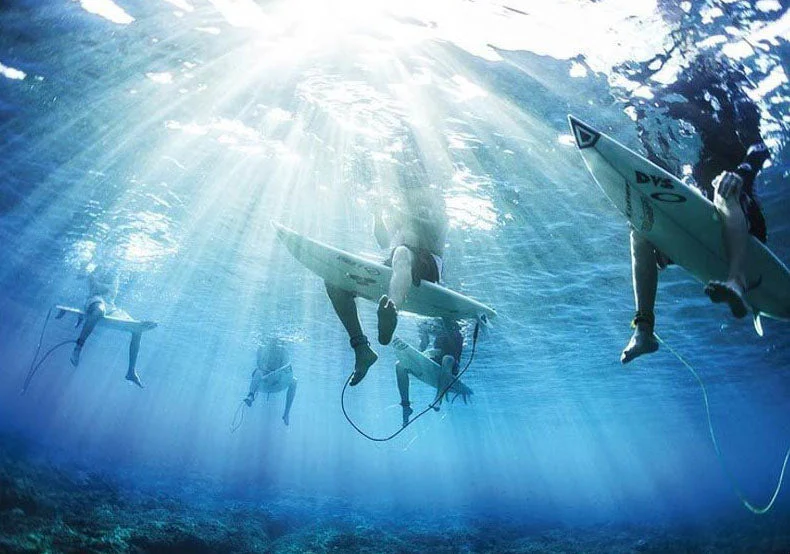 Surfers in Water