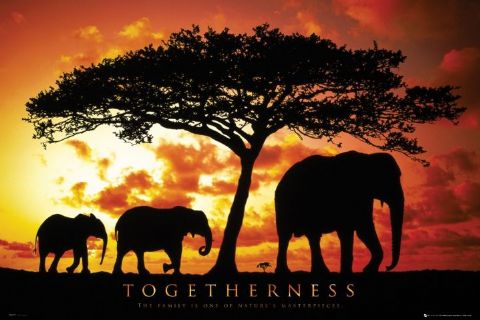 Togetherness
