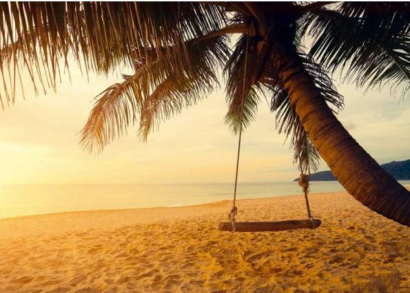 Tropical Beach